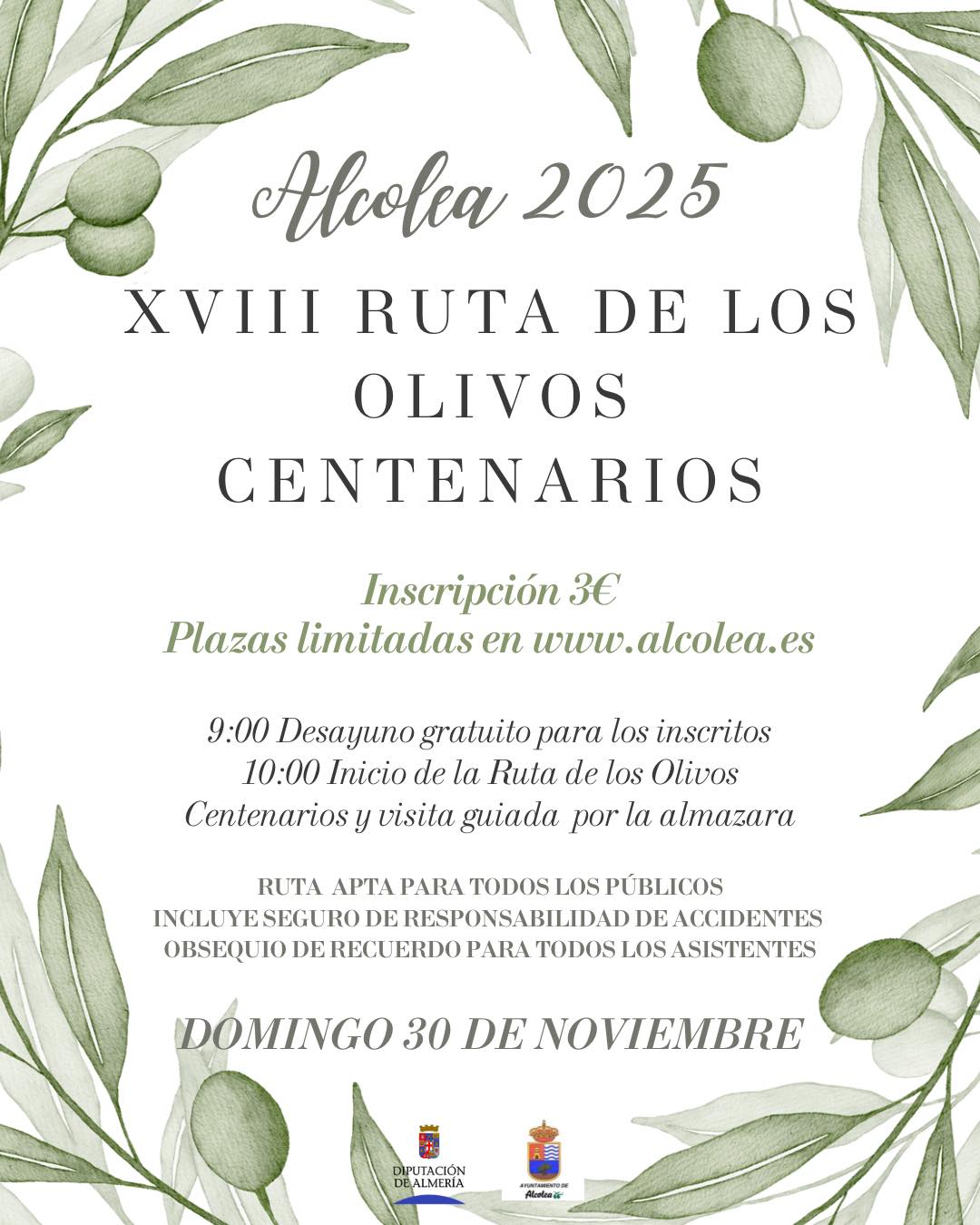 ayuntamiento, alcolea, senderismo, caminata, aceituna, aceite, olivo, diputación, almería